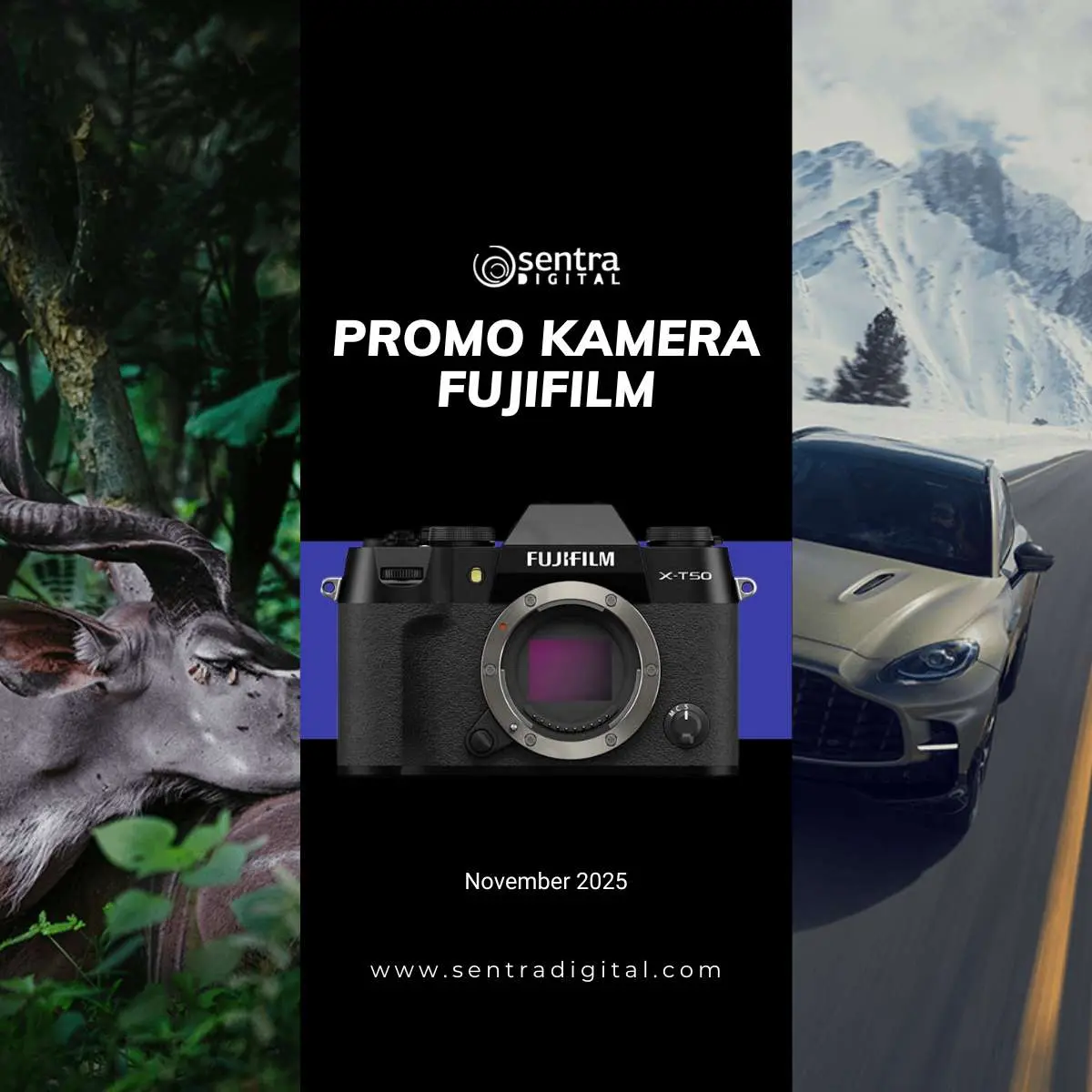 promo fujifilm november