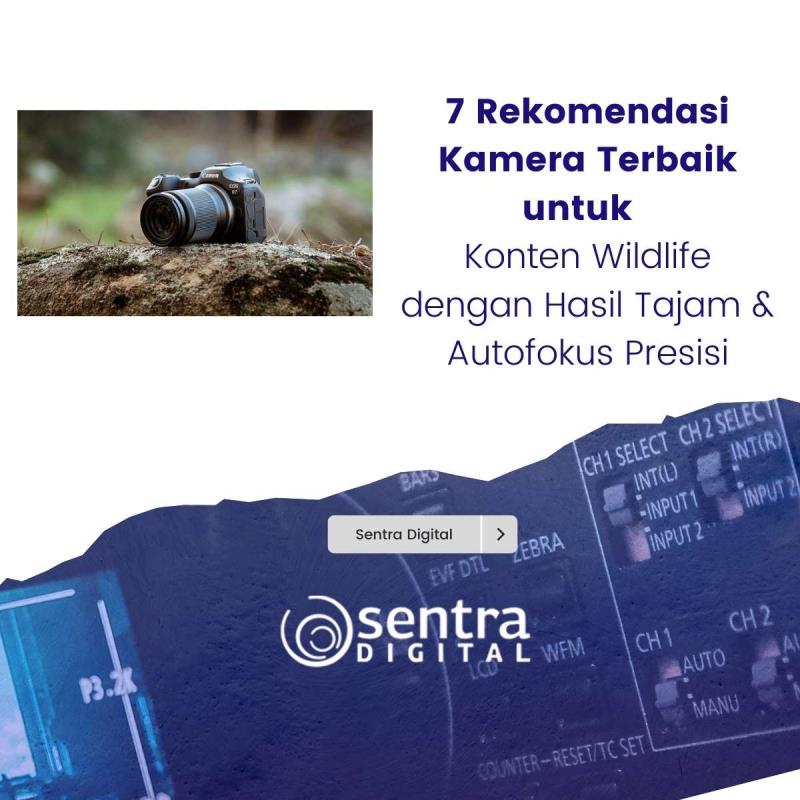 7 Rekomendasi Kamera Terbaik untuk Konten Wildlife dengan Hasil Tajam & Autofokus Presisi