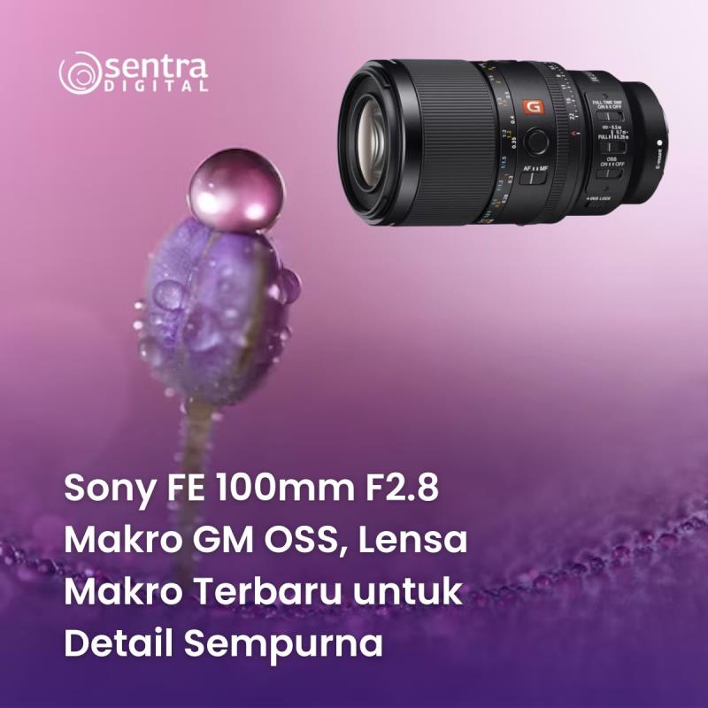 Sony FE 100mm F2.8 Makro GM OSS, Lensa Makro Terbaru untuk Detail Sempurna