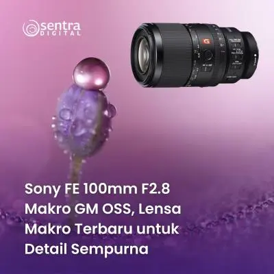Sony FE 100mm F2.8 Makro GM OSS, Lensa Makro Terbaru untuk Detail Sempurna