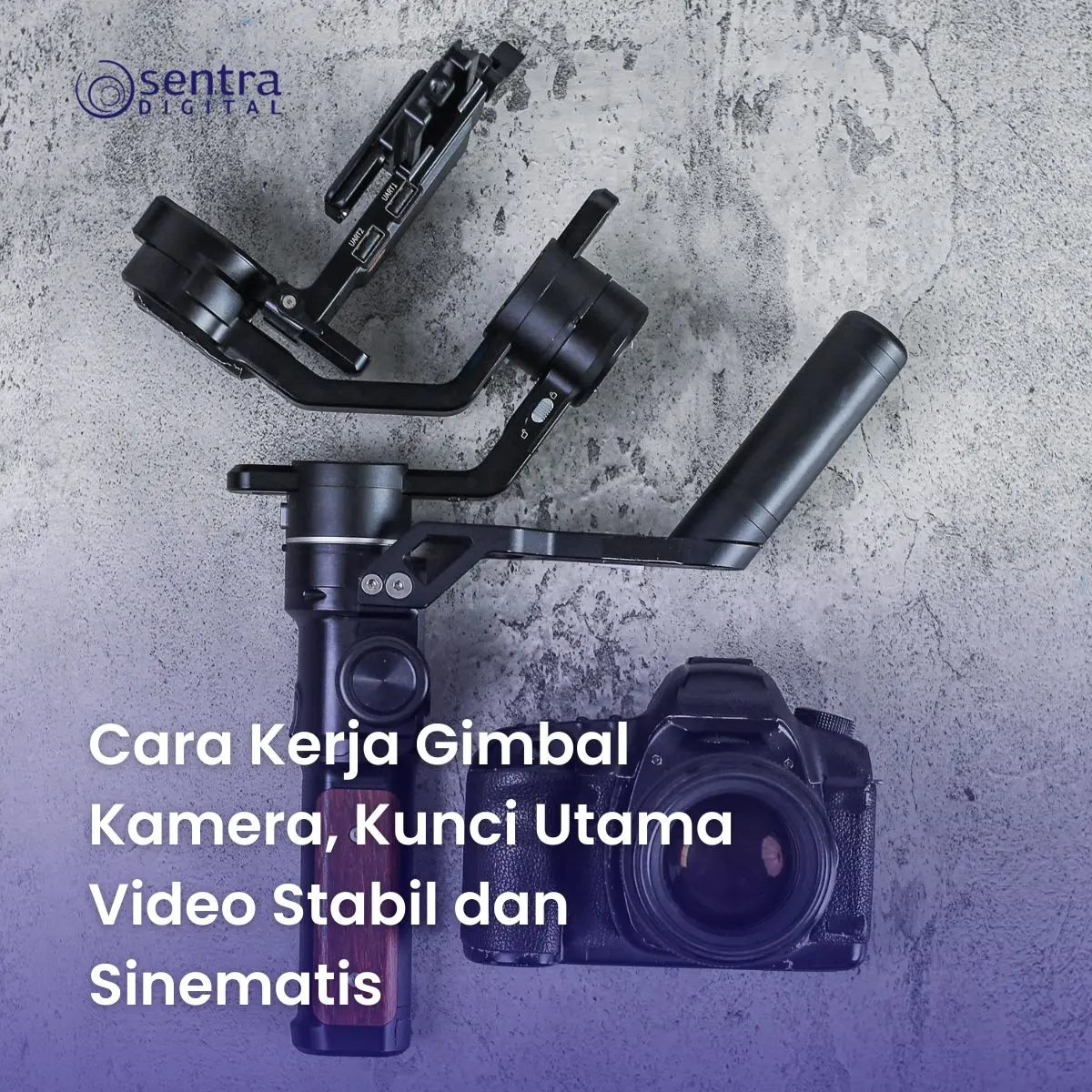 Cara Kerja Gimbal Kamera, Kunci Utama Video Stabil dan Sinematis