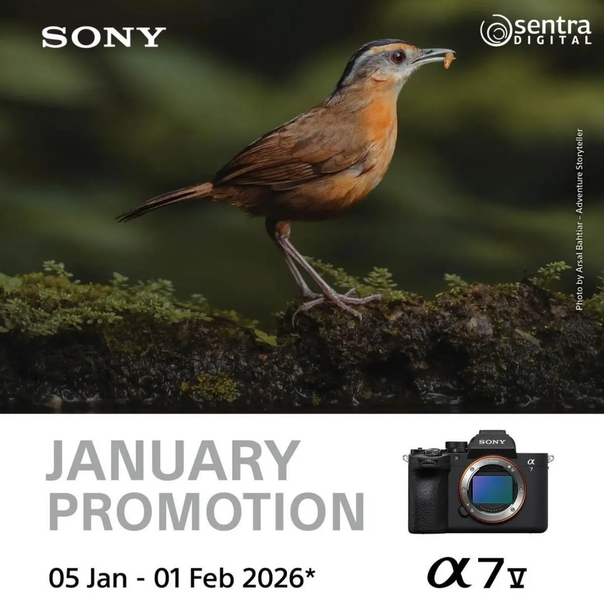 Rayakan Awal Tahun dengan Promo Sony Januari di Sentra Digital