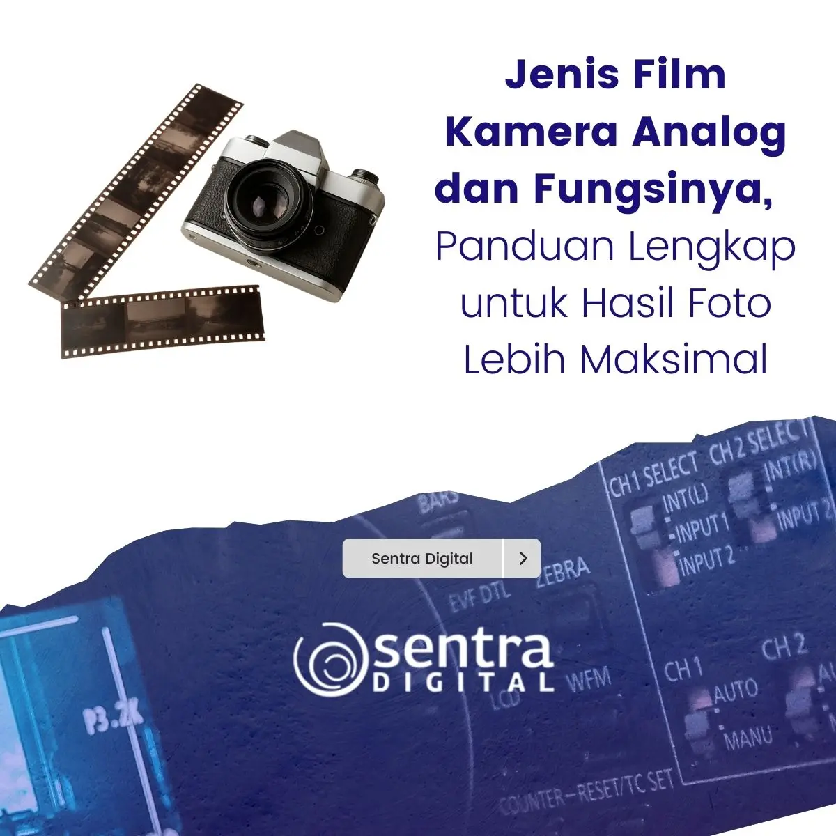 Jenis Film Kamera Analog dan Fungsinya, Panduan Lengkap untuk Hasil Foto Lebih Maksimal