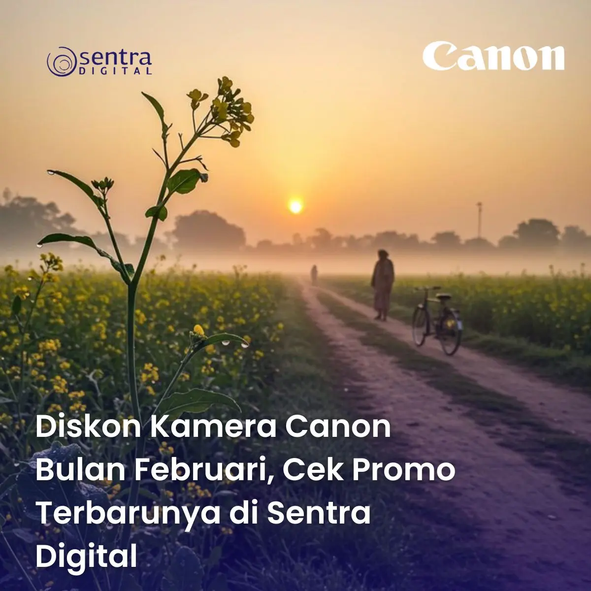 Diskon Kamera Canon Bulan Februari, Cek Promo Terbarunya di Sentra Digital