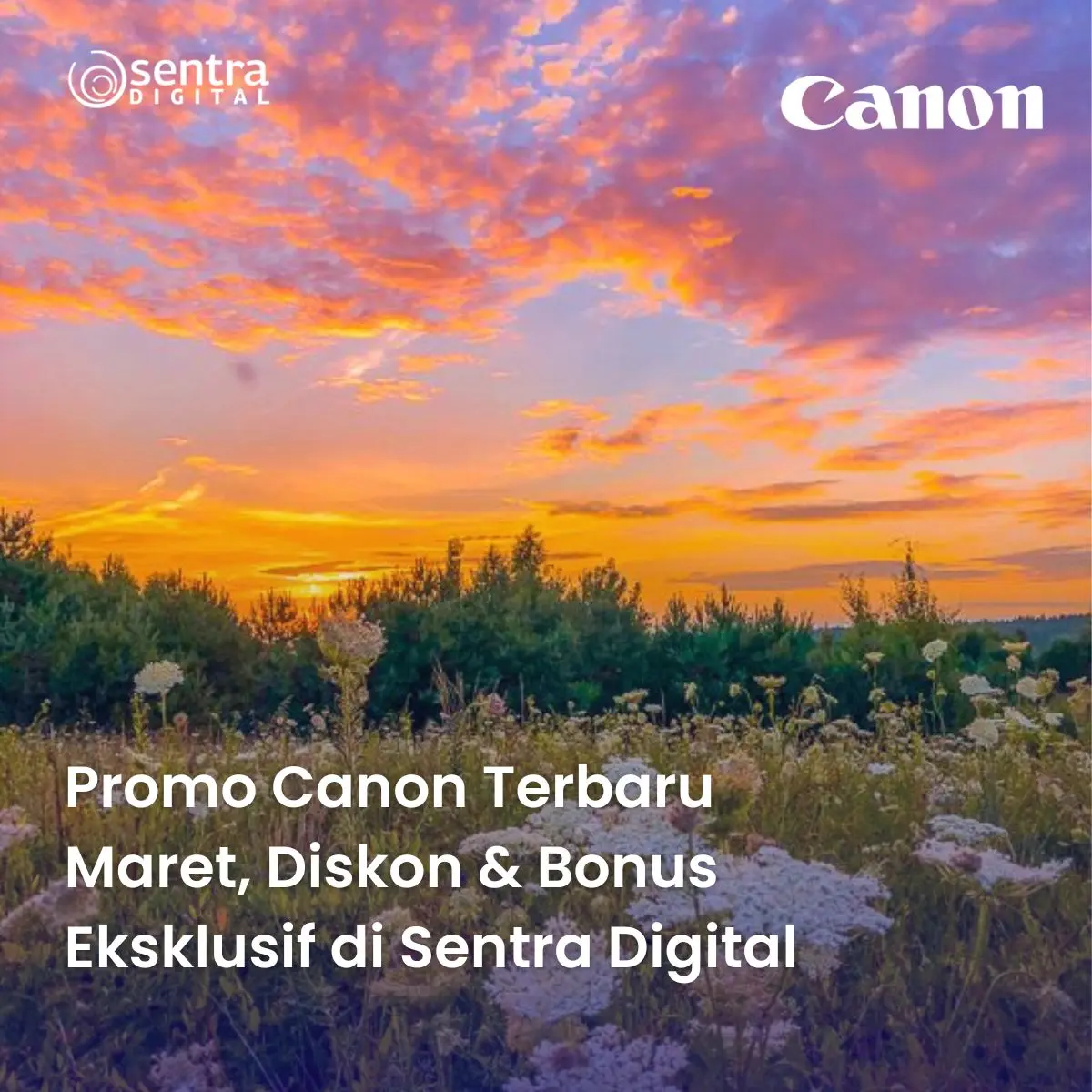 Promo Canon Terbaru Maret, Diskon & Bonus Eksklusif di Sentra Digital