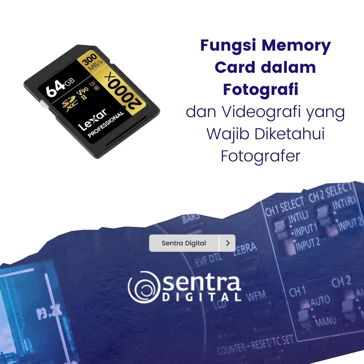Fungsi Memory Card dalam Fotografi dan Videografi yang Wajib Diketahui Fotografer