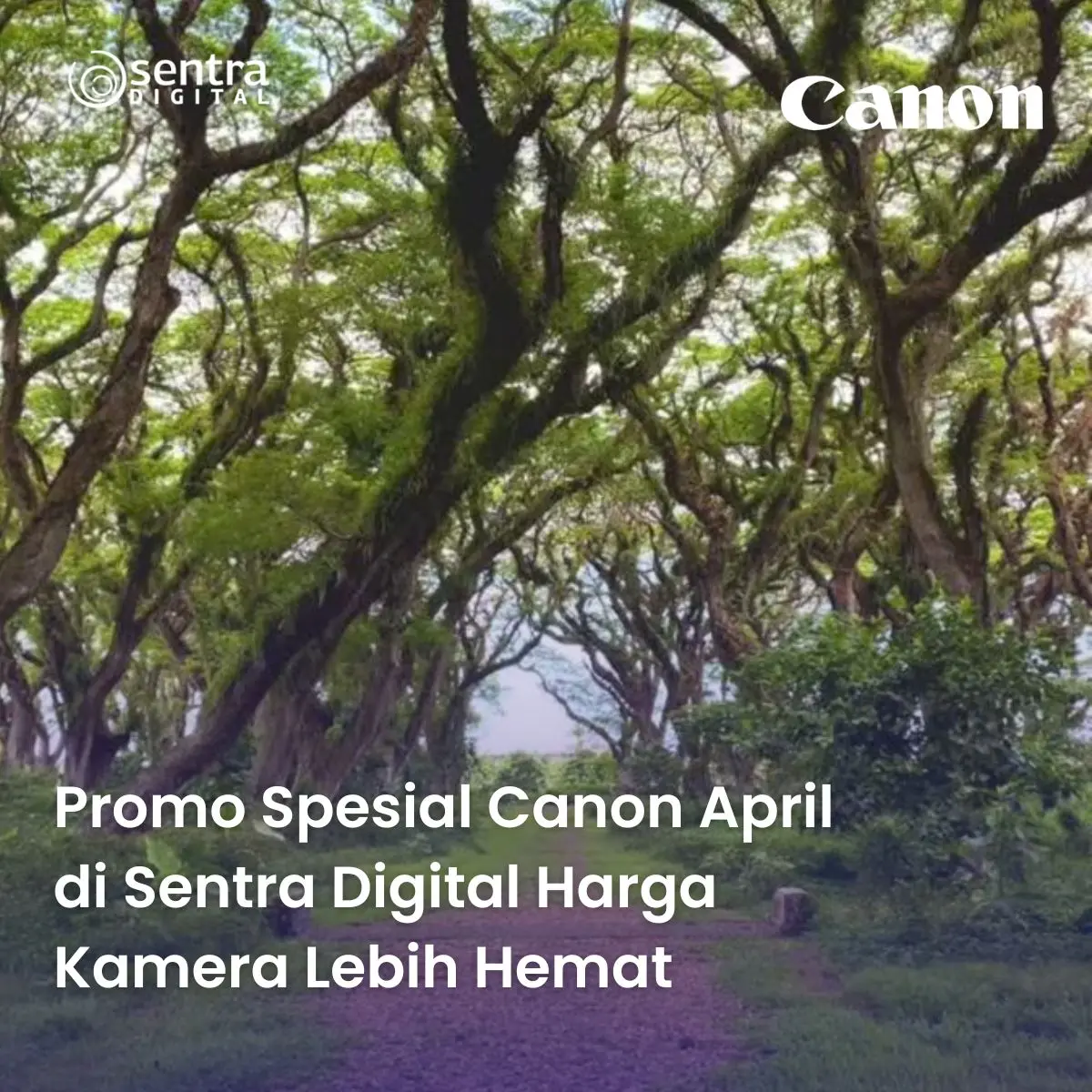 Promo Spesial Canon April di Sentra Digital Harga Kamera Lebih Hemat