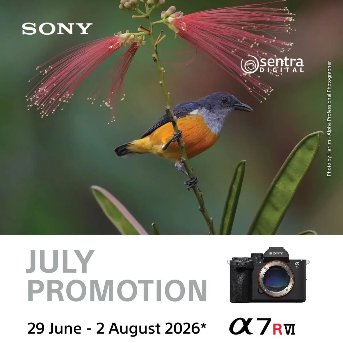Promo Juli Sony di Sentra Digital, Diskon Kamera dan Lensa Pilihan