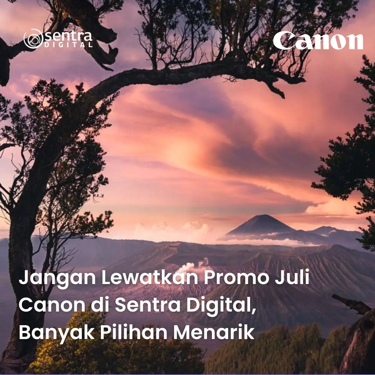Jangan Lewatkan Promo Juli Canon di Sentra Digital, Banyak Pilihan Menarik