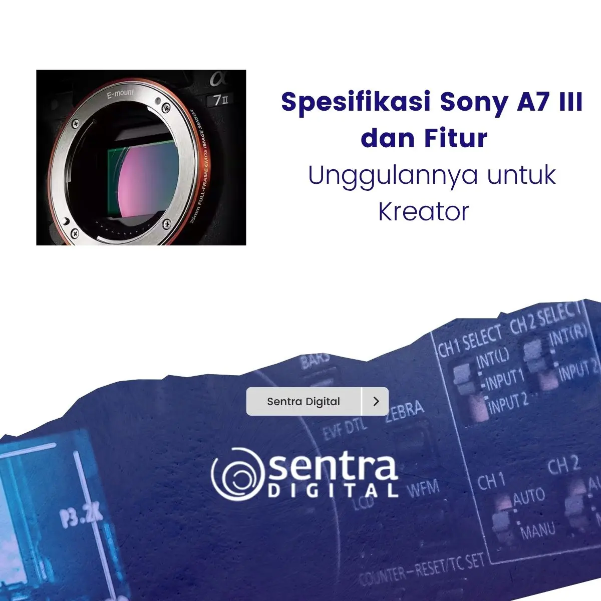 Spesifikasi Sony A7 III dan Fitur Unggulannya untuk Kreator