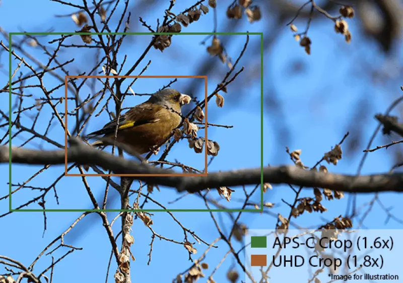 Kemampuan Video UHD 4K