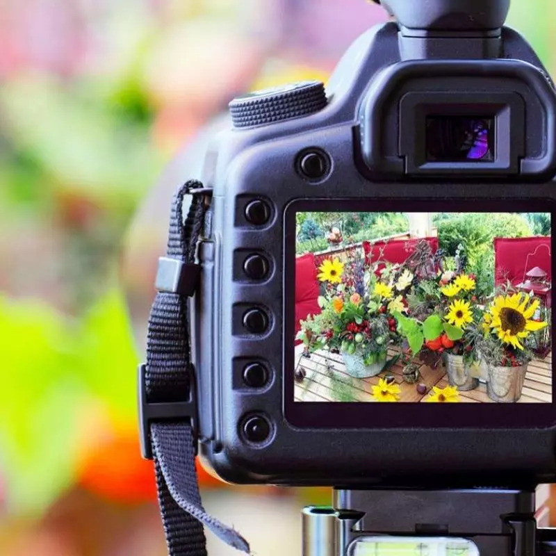 Pertimbangkan Sistem Fokus dan Kecepatan Rekam