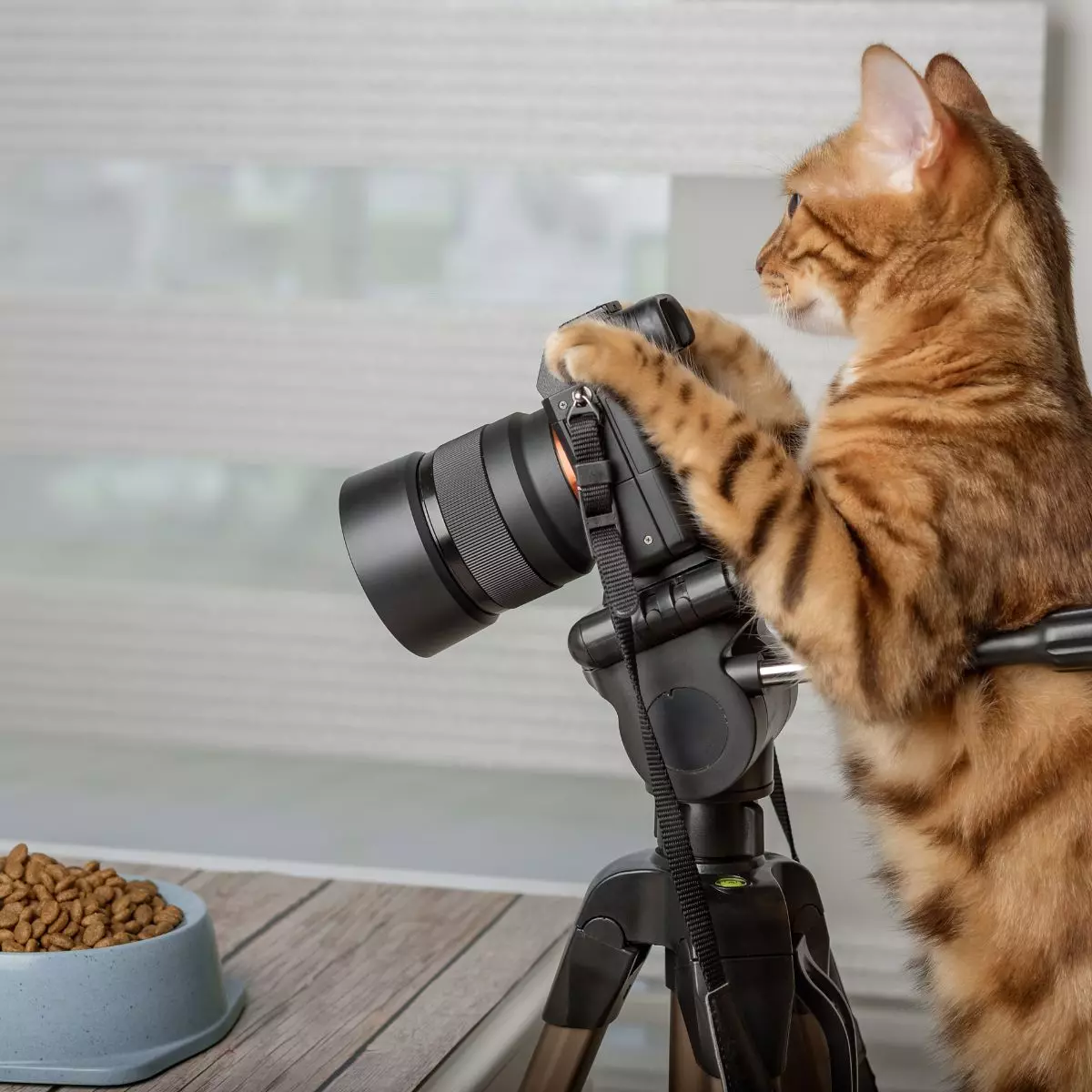 4. Mempermudah Post-Produksi