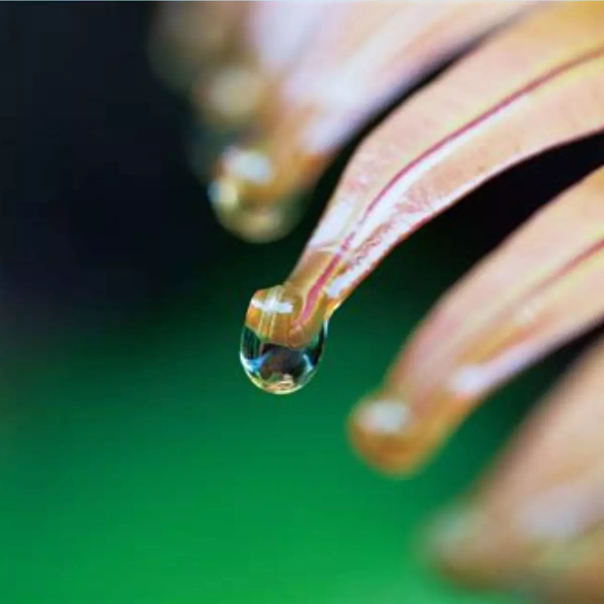 2. Teknik Mengambil Gambar Makro yang Menakjubkan