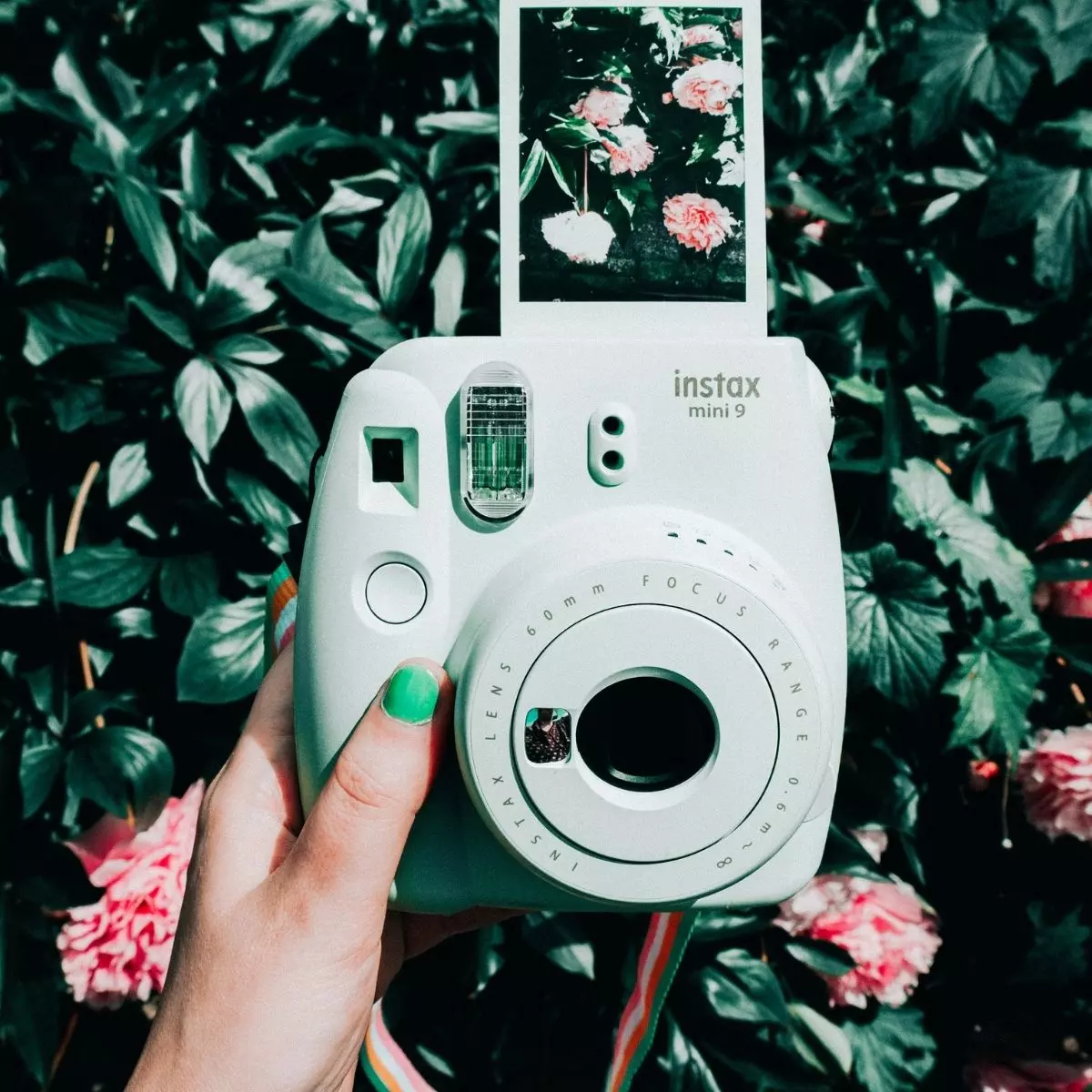 3. Praktis dan Mudah Digunakan