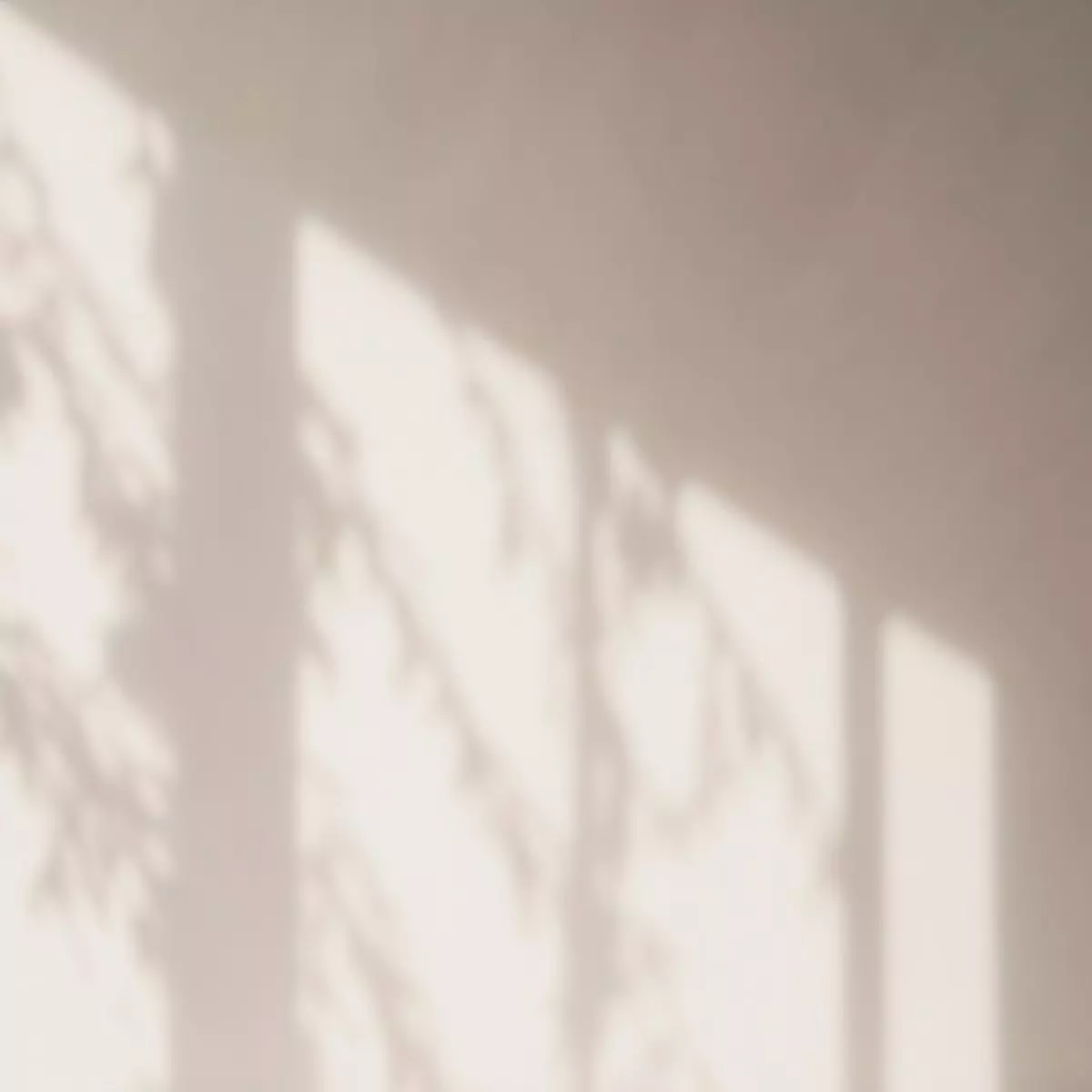 7. Memotret Objek yang Terlalu Bercahaya