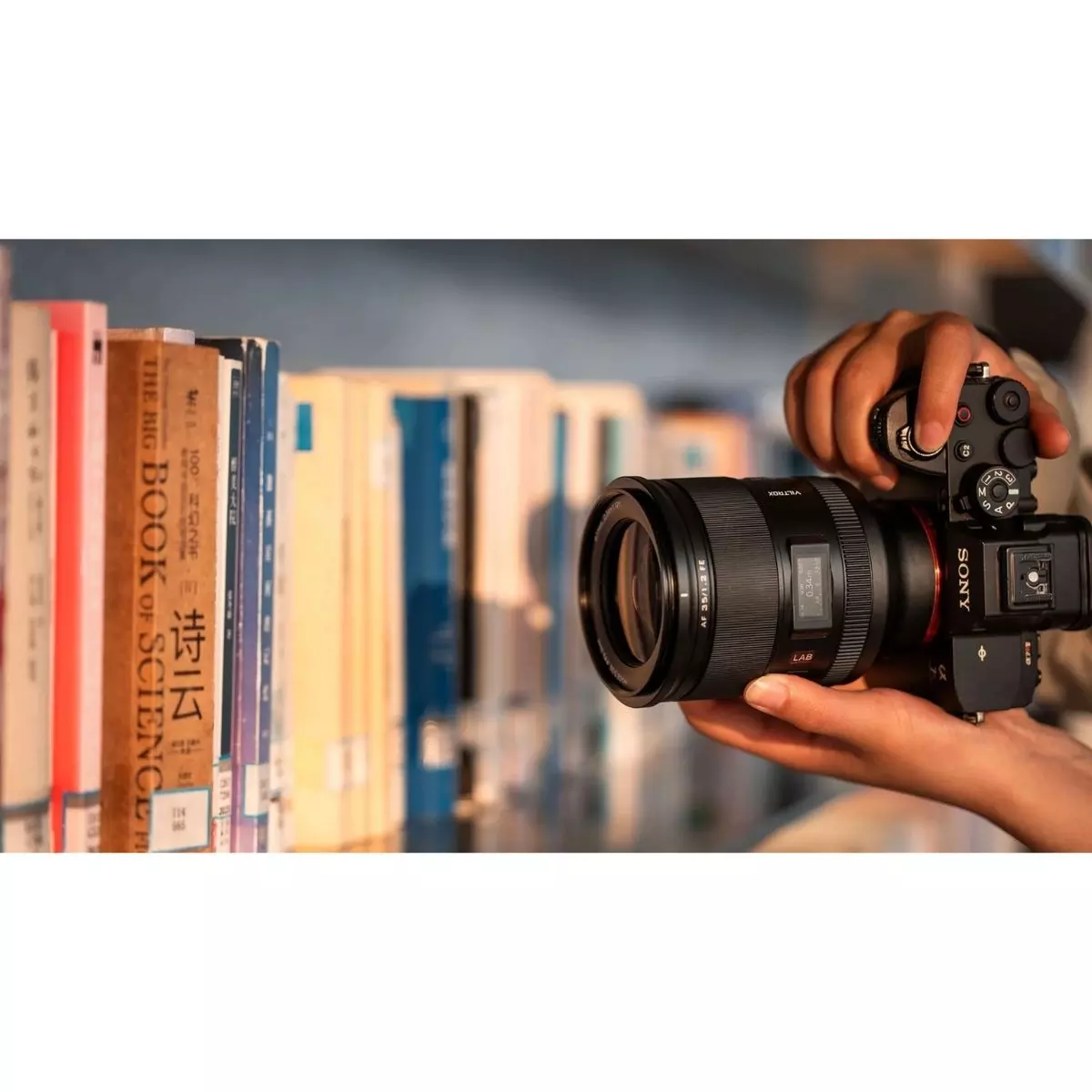 Kualitas Gambar dan Bokeh yang Mengagumkan