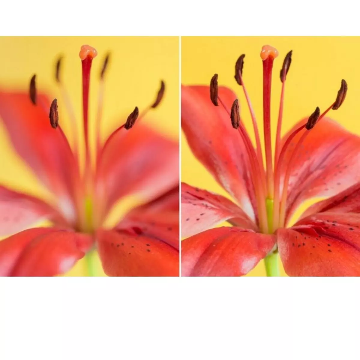 3. Depth of Field: Mengarahkan Fokus Penonton