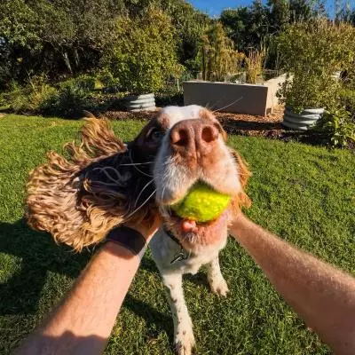 Rekaman Stabil & Sudut Pandang Lebar