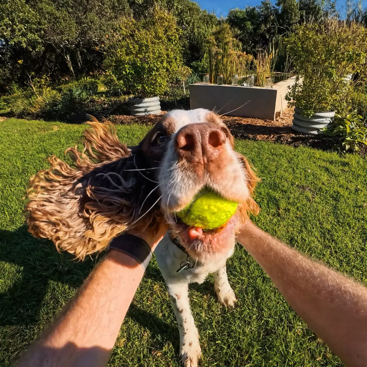 Rekaman Stabil & Sudut Pandang Lebar
