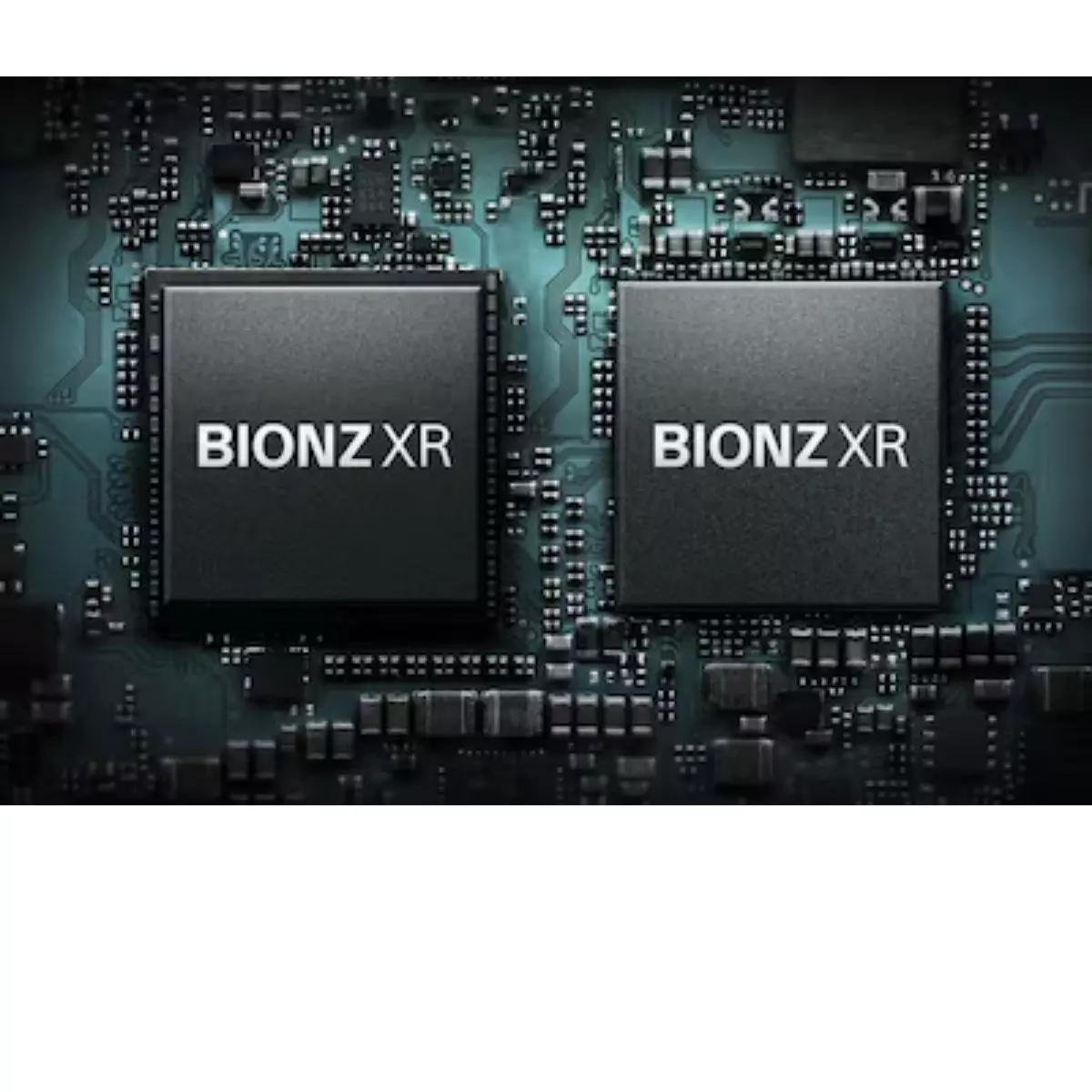 Processor BIONZ XR & Autofocus Berbasis AI