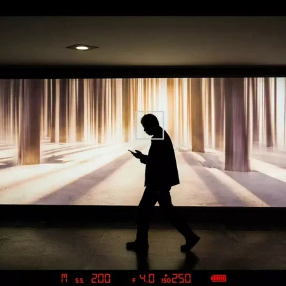 Sensor Resolusi Tinggi & Kualitas Gambar