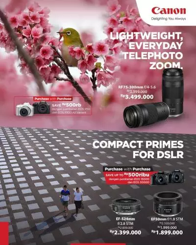 Telephoto Zoom Lens