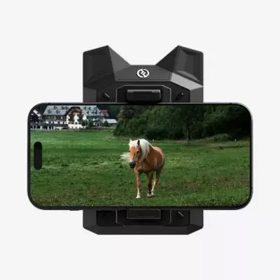 Kelebihan dan Kekurangan