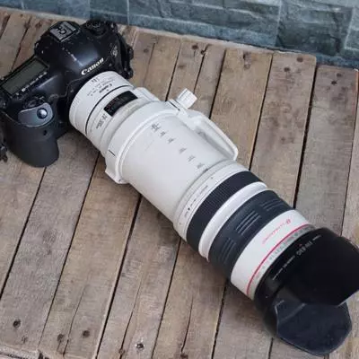 Lensa Telephoto untuk Olahraga dan Satwa Liar