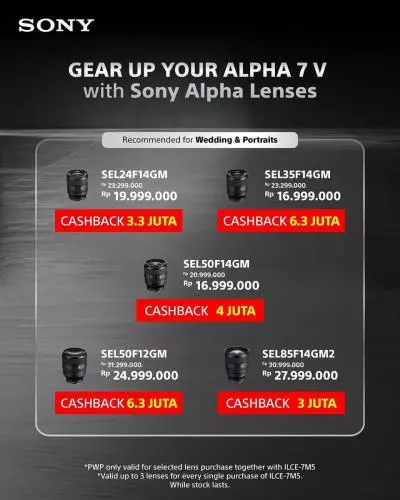 Wedding And Portrait