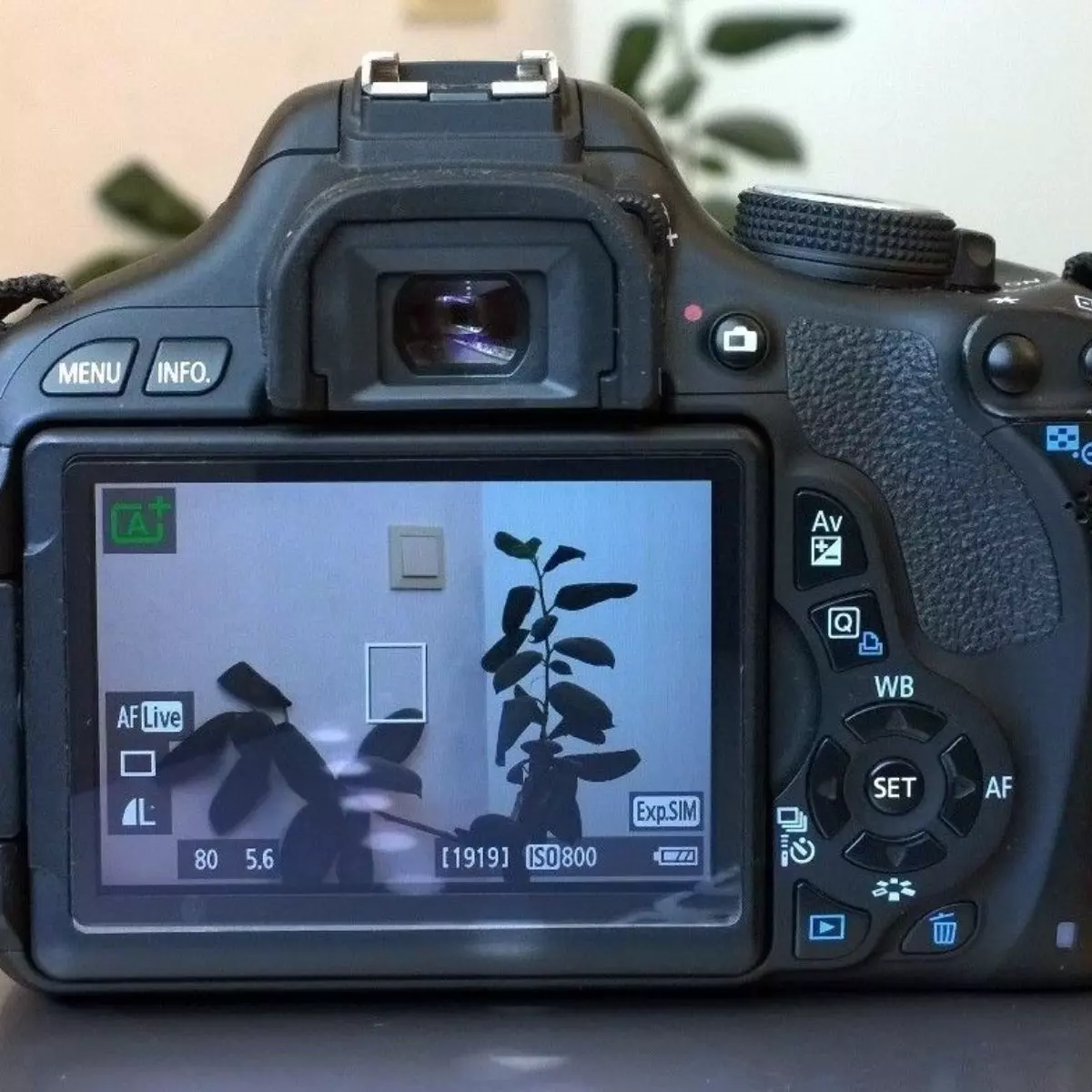 Shutter: Mengatur Durasi Pencahayaan