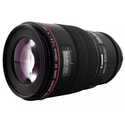 Rekomendasi Lensa Wajib untuk Fotografer Pemula di Berbagai Kebutuhan Foto