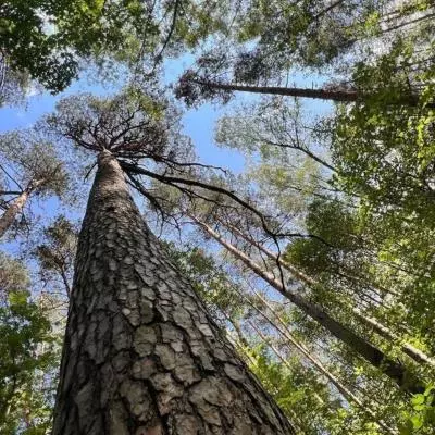 Tips Tambahan agar Foto Lebih Tajam