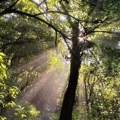Kesalahan Umum Pemula yang Harus Dihindari