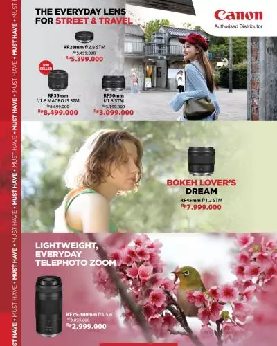 Telephoto Lens