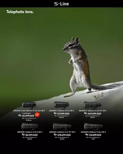Telephoto Lens