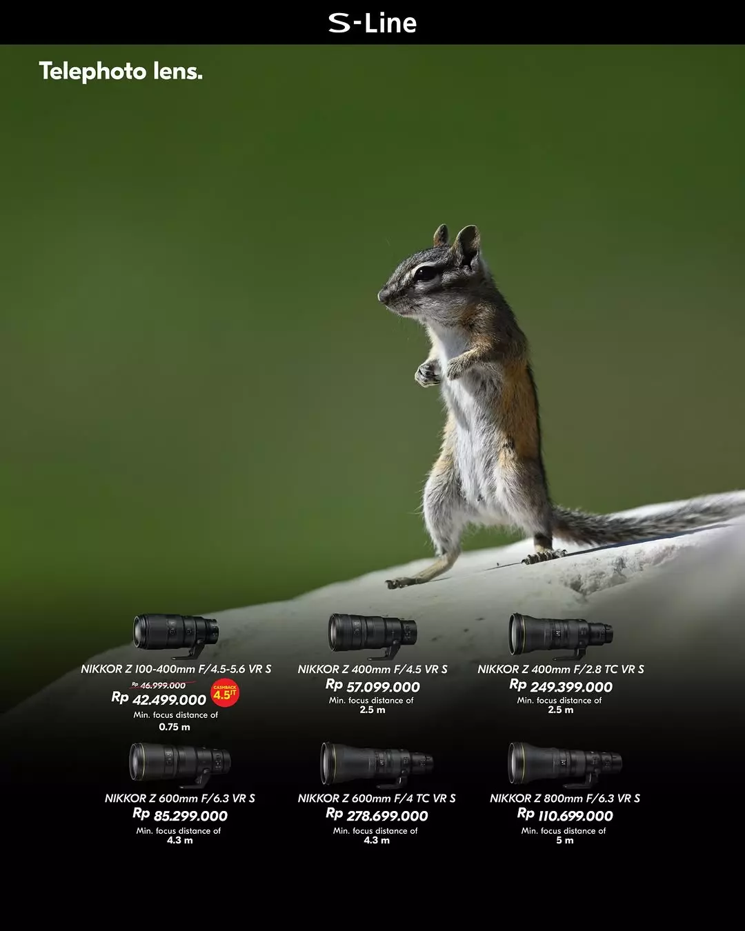 Telephoto Lens