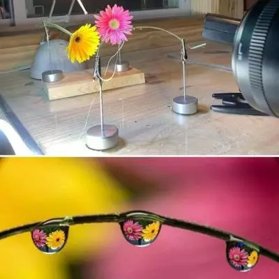 Mengapa Pencahayaan Penting dalam Foto Macro?