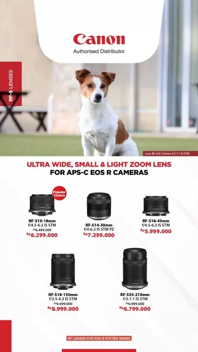 Lensa Aps C