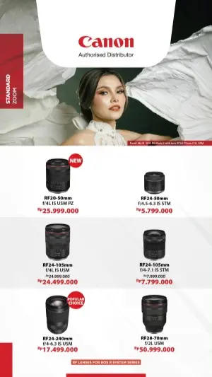 Standard Lens