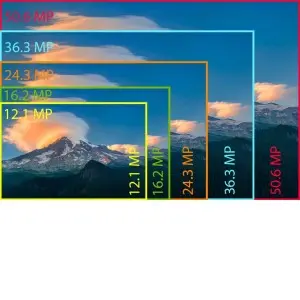 Apakah Kamera 24 Megapixel Sudah Cukup untuk Pemula?