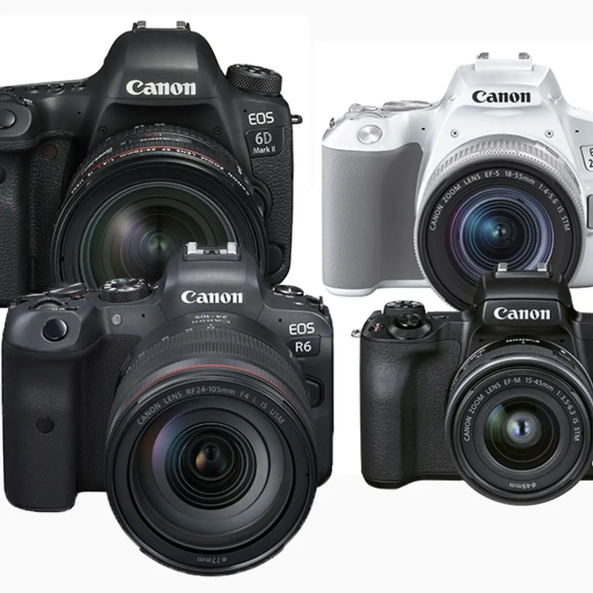 Full Frame atau APS-C untuk Video dan Content Creator?