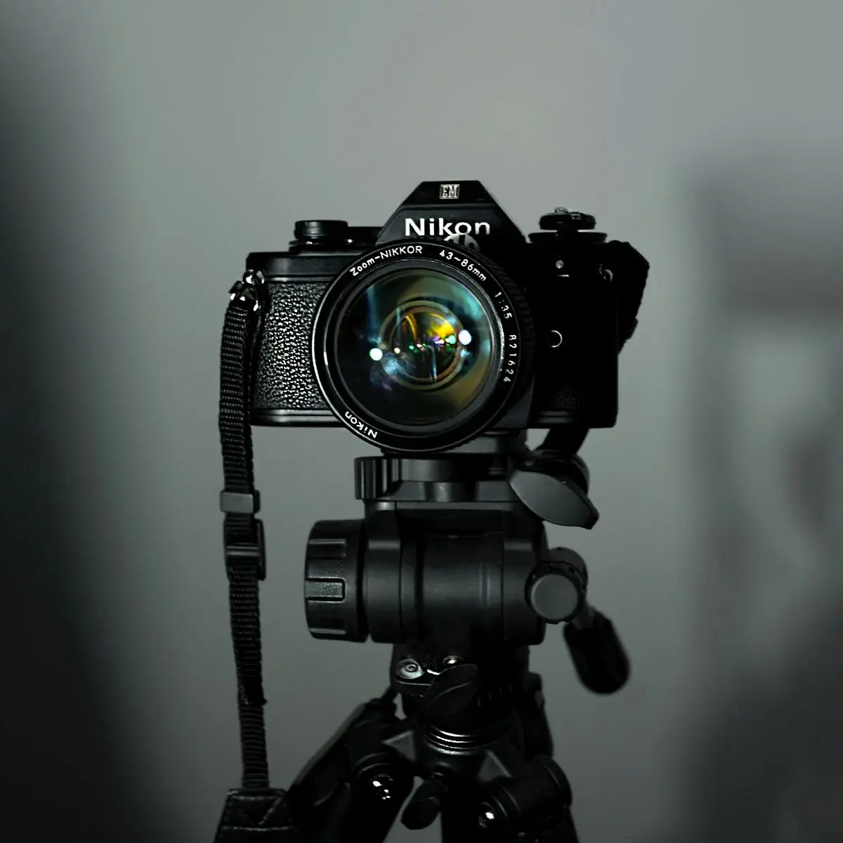 8. Cek dan Update Firmware Kamera