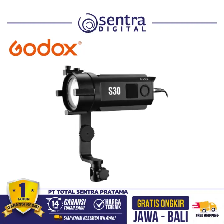 Godox S30 Focusing LED Light with Barndoor