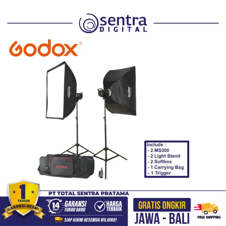 Godox MS300-E/F Studio Flash Kit (Paket Dua Lampu)
