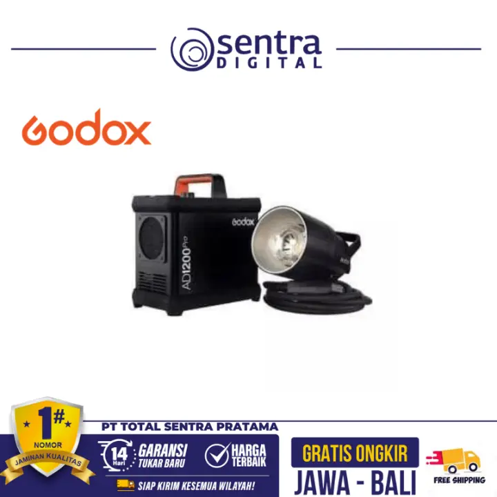 Godox  AD1200Pro Mobile Light Witstro