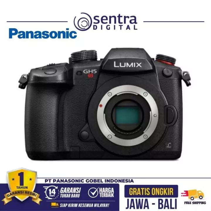 Panasonic Lumix G DC-GH5S Body Only Black