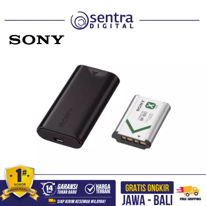 Sony Battery with Charger Kit -TRDCX