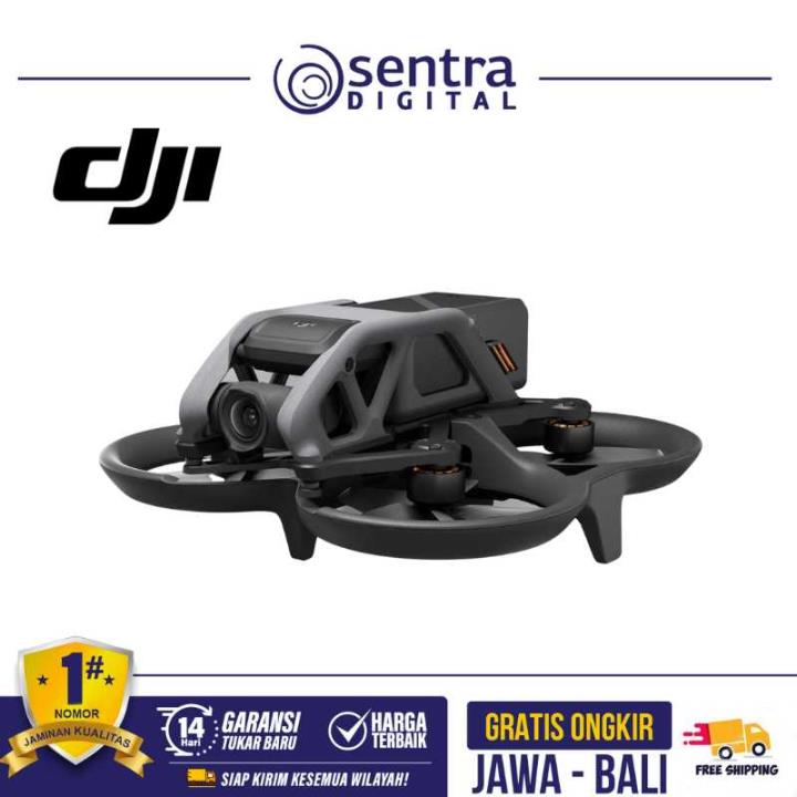 Drone DJI Avata Pro-View Combo