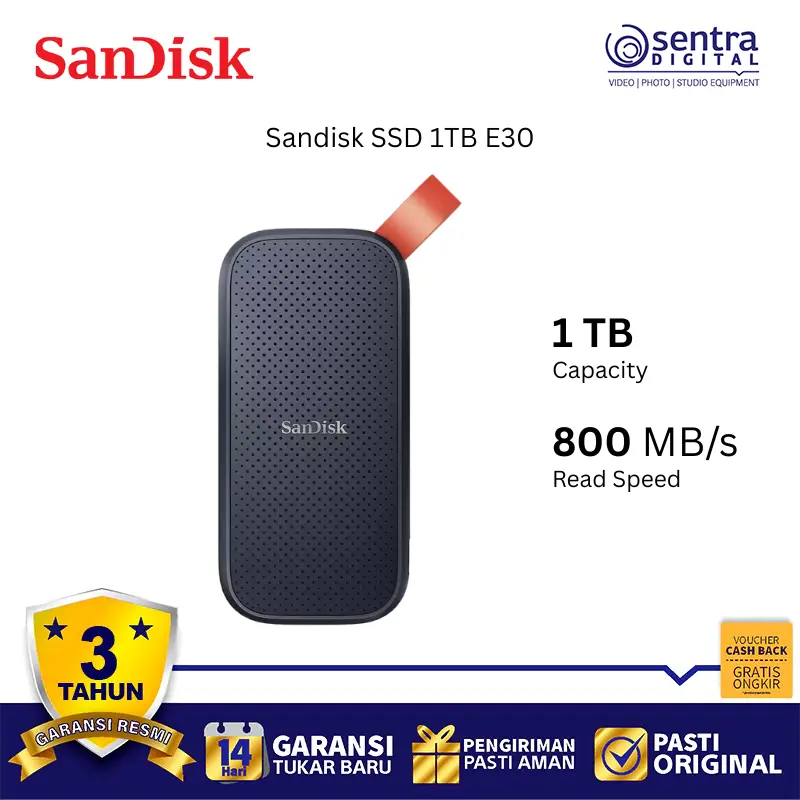 SANDISK 1TB E30 SSD Portable External Fast 520MB/s USB-C Original Authentic Drive